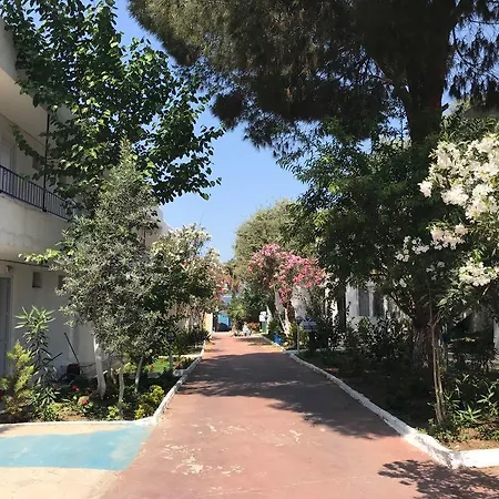 Marvel Guvercinlik (Bodrum)