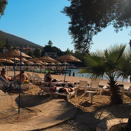 Marvel Guvercinlik (Bodrum)