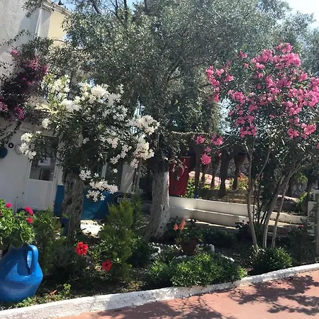 Marvel 3* Guvercinlik (Bodrum)